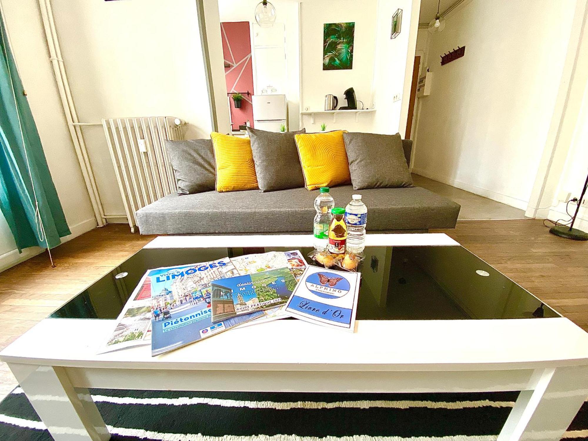 Le Chinchauvaud, Spacieux Avec Balcon Limoges Bagian luar foto